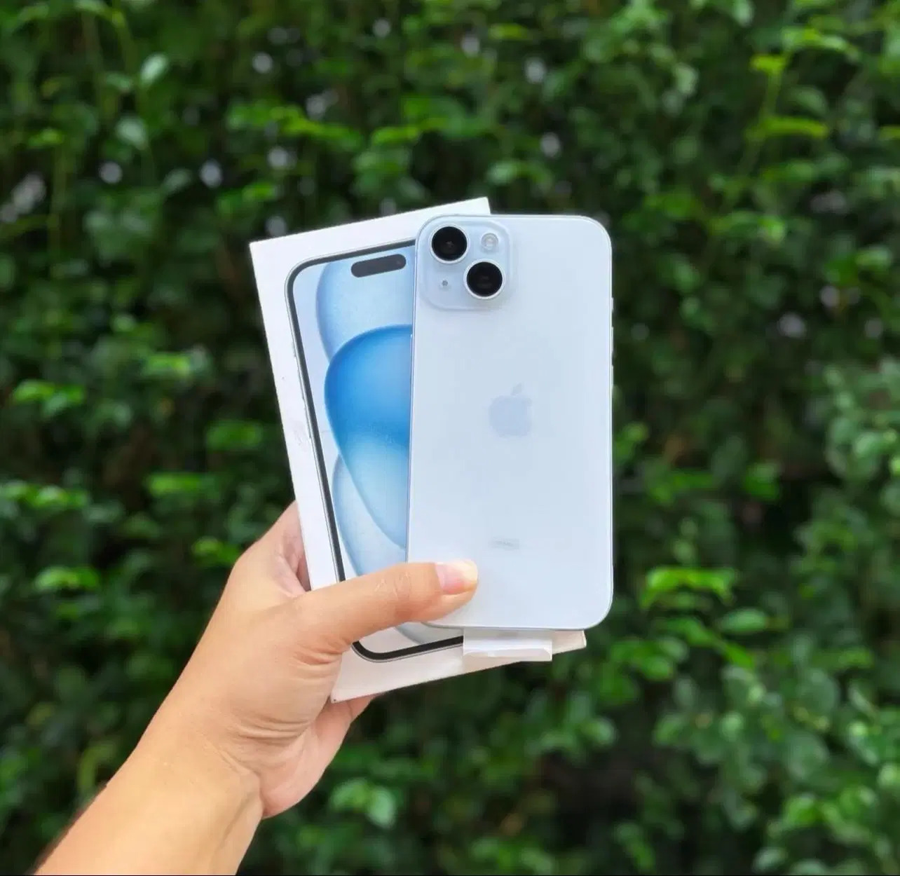 BAIXO STRINBERG HEADLESS OU 2MIL 